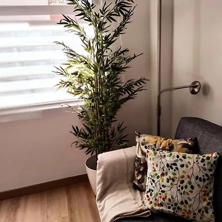 アパート The Garden Medano エル・メダノ